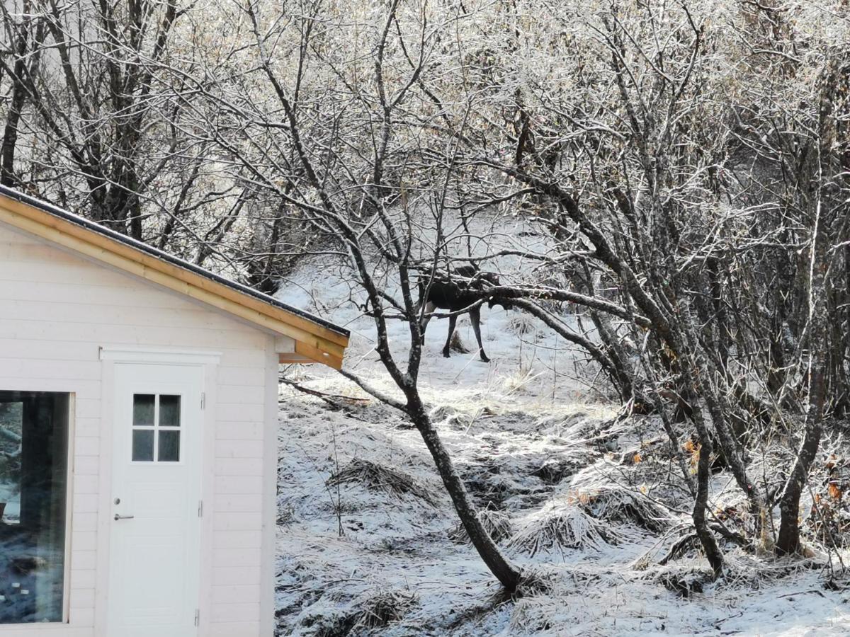 Relaxing Cabin Villa Gravdal  Bagian luar foto